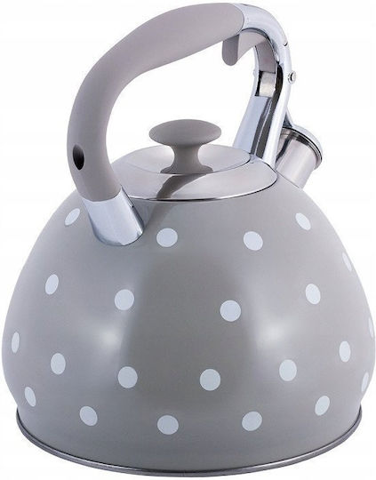 Kamille Βραστήρας Ανοξείδωτος Γκρι 3000ml