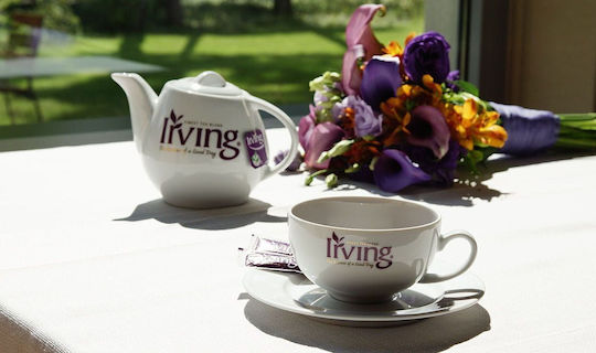 Irving Green Tea 20 Bags 5gr
