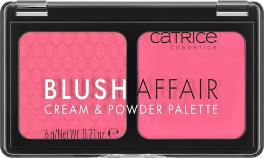 Catrice Cosmetics Affair Palette with Blush 020 Pleasing Pink 6gr