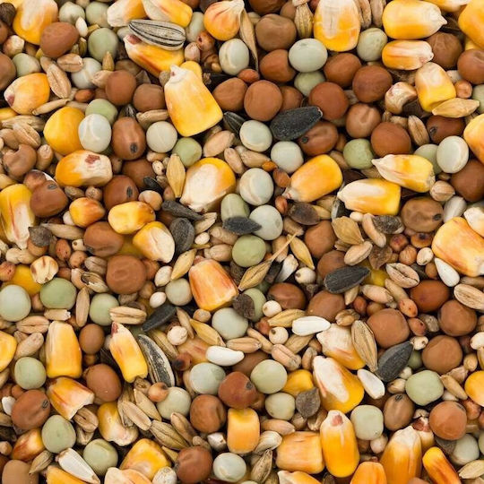 Garden&Fun Food For Pigeons 1kg