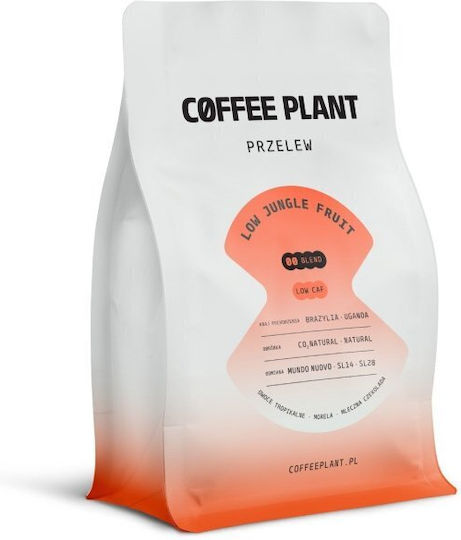 Coffee Plant Kaffee Filter Low Jungle Fruit Filter Schokolade in Körner 250g