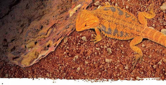 Exo Terra Stone Desert Substrate Red Desert 20kg