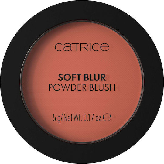 Catrice Cosmetics Soft Rouge Cinnamon Sugar 5g