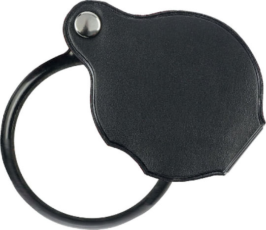 Grand Hand Magnifying Lens
