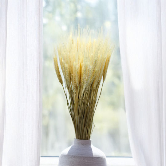 Dried Triticale Bleached