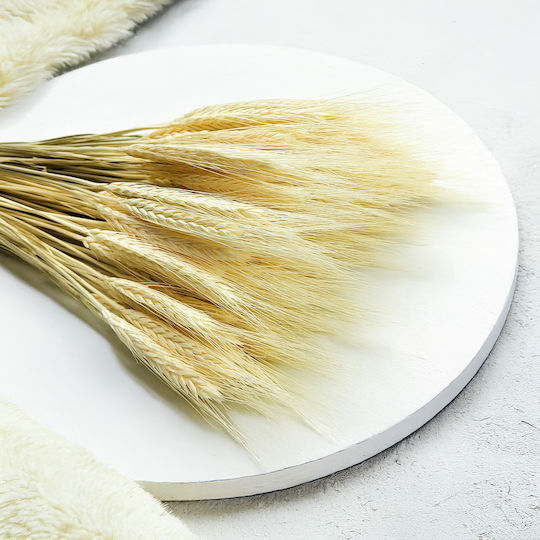 Dried Triticale Bleached