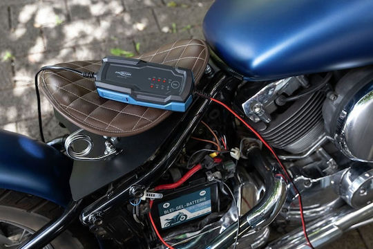 Ansmann Azo Batterieladegerät Für Auto & Motorrad 6/12V