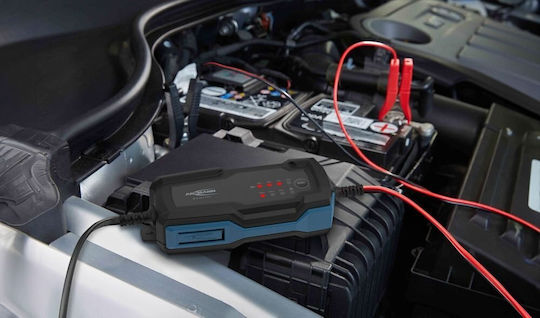 Ansmann Azo Batterieladegerät Für Auto & Motorrad 6/12V
