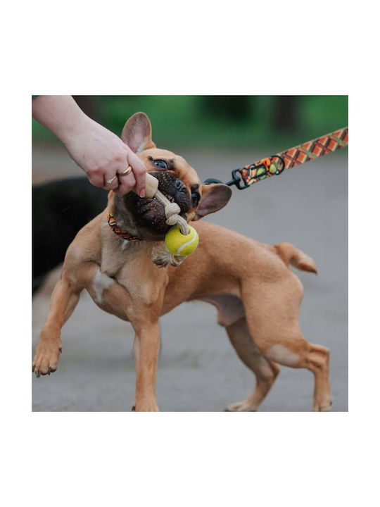 Dingo Hundespielzeug Kauen Braun 1 Stück