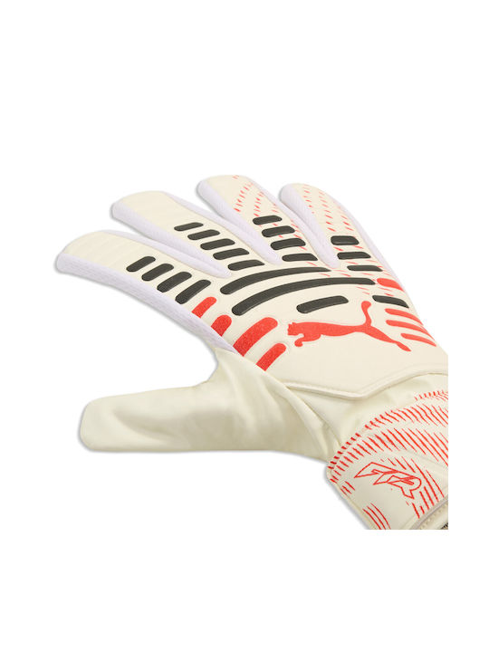 PUMA 042125 PUMA 042125