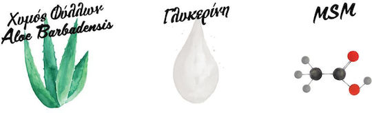 Forever Aloe MSM Gel Für Muskeln Knochen & Gelenke 118 Ml