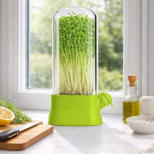Sprouter Microgreens Transparentes Deckel Mini Gewächshaus Zuhause Anzucht Wachstumsunterstützung Sprossen Aromatische Kräuter Frischer Salat Modernes Design Einfach Zu Verwenden Wartung 27x13 Cm Grün