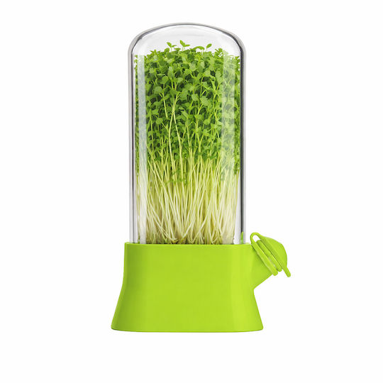 Sprouter Microgreens Capac Transparent Mini Seră pentru Cultivare Acasă Suport pentru Creștere Germeni Ierburi Aromatice Salate Proaspete Design Modern Ușor de Utilizat de Întreținut 27x13 Cm Verde PriStyle