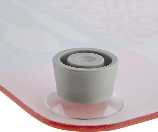 Wenko Herb Garden Glass Protective Plates Stove — 2 Pieces Wenko