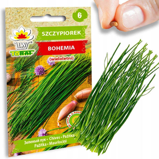 Toraf Seed Set Smaki Lata 7 Packages