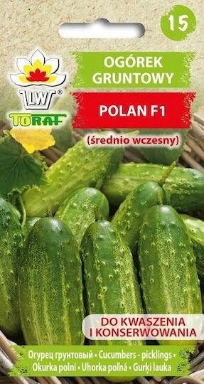 Toraf Pnos Samen Film Gurke Polan F1 Film 6m