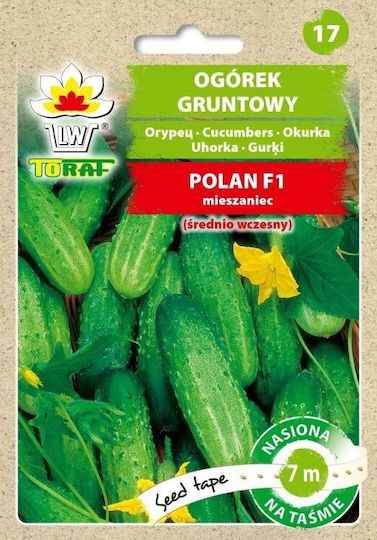 Toraf Pnos Samen Film Gurke Polan F1 Film 6m