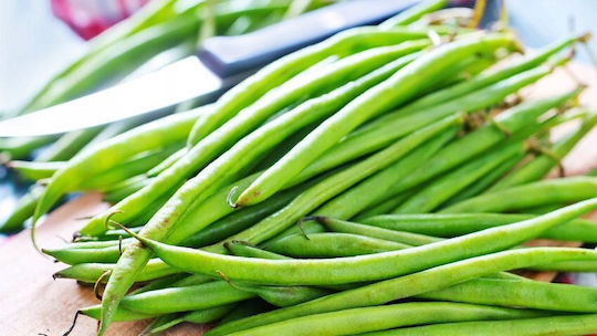 Toraf Grüne Bohnen Nahe Ferrari Phaseolus Vulgaris L 30 G