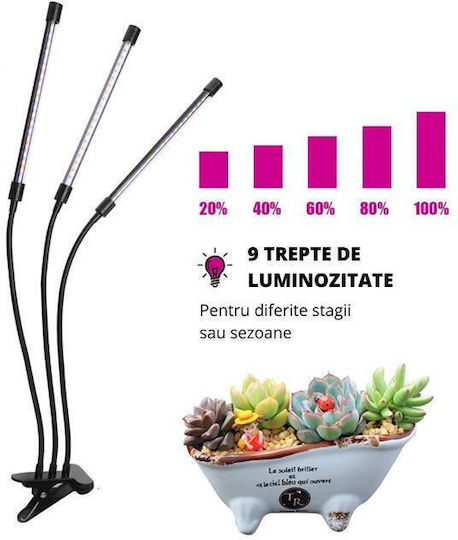 Lumină de creștere cu LED și putere 30W