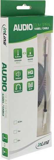 InLine Audio Cable 3.5mm Male - 3.5mm Female Silver 0.5m with Gold Plated Terminals 99284