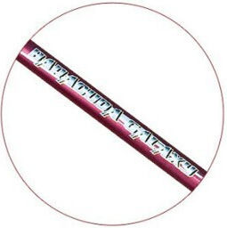 Baracuda Καλάμι Ψαρέματος για Casting 5m 15-30gr