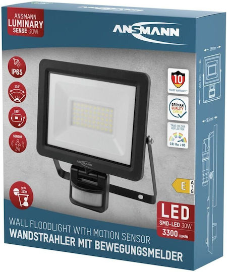 Ansmann Στεγανός Προβολέας LED 30W Ψυχρό Λευκό 5000K IP65