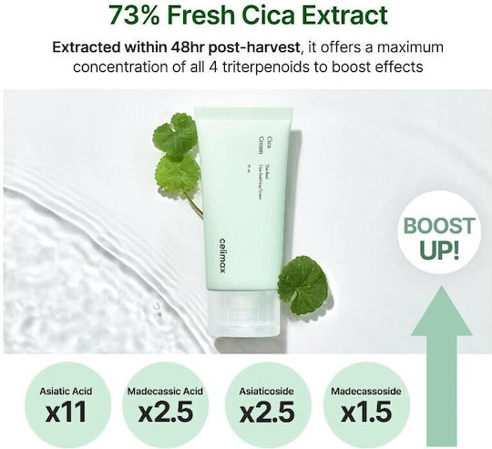 The Real Cica Light Face Cream for Moisturizing & Restoring with Centella Asiatica 50ml