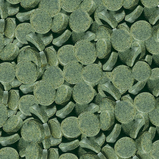 Sera Spirulina Tabs 24 Δισκία