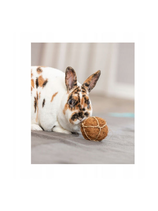 Trixie Glob de nucă de cocos pentru rozătoare 6 cm
