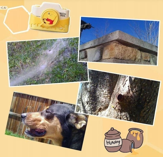 Disney 12014 Детски Фотоапарат 32MP Оптично Увеличение 2x Winnie the Pooh