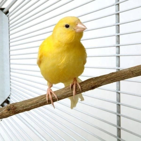 Panama Pet Клетка за птици 47x36x55.5см Златиста