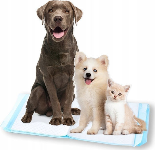 Bounn Bodenwindeln Für Hunde 60x60cm 50Stück
