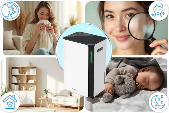 Berdsen BD-532 Dezumidificator cu Compresor și Wi-Fi 20lt