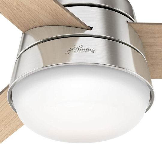 Hunter Finley Ceiling Fan 91cm With Light Brushed Chrome