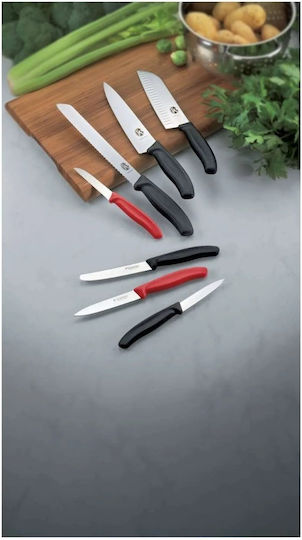 Victorinox Swiss Classic Нож Обща употреба от Неръждаема Стомана 10см