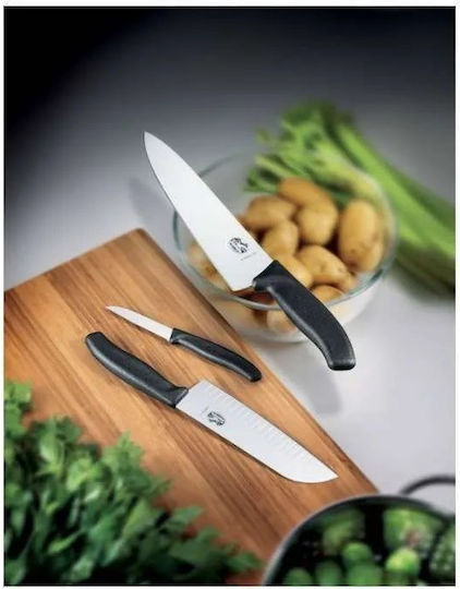 Victorinox Swiss Classic Knife General Use from Stainless Steel 10cm