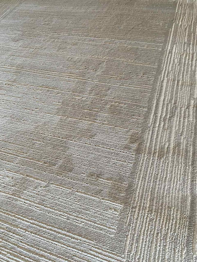Covor Rectangular Bej 240x300cm