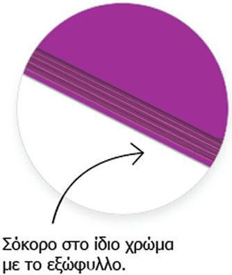 Metron Σπιράλ Τετράδιο Ριγέ Α4 150 Φύλλων 3 Θεμάτων (Διάφορα Σχέδια)