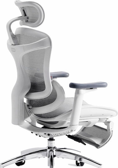 Sihoo Doro C300 Scaun de Birou cu Brațe Reglabile Off White