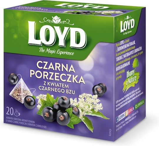 Loyd Black Tea 20 Bags