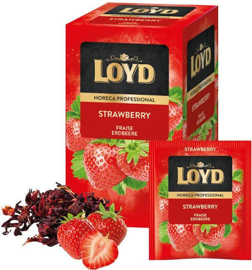 Loyd Loyd Bio-Tee Erdbeer Erdbeer-Tee-Taschen X 4 Stück