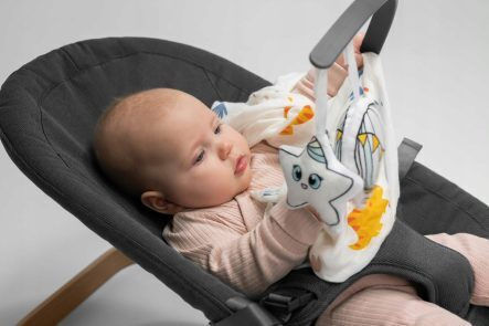 Lionelo Handbuch Baby Relax June Air Gray Graphite für Kind bis 9kg