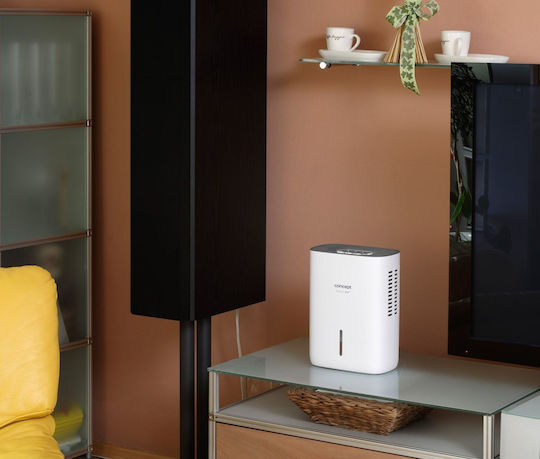 Concept OV1000 Luftentfeuchter mit Kompressor 0.6lt
