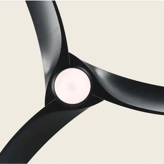 Zambelis Lights for Ceiling Fan Black