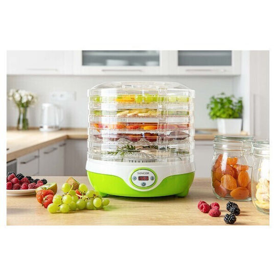 Concept Lebensmittel-Dehydrator mit 12 Regalen