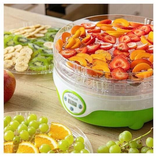Concept Lebensmittel-Dehydrator mit 12 Regalen