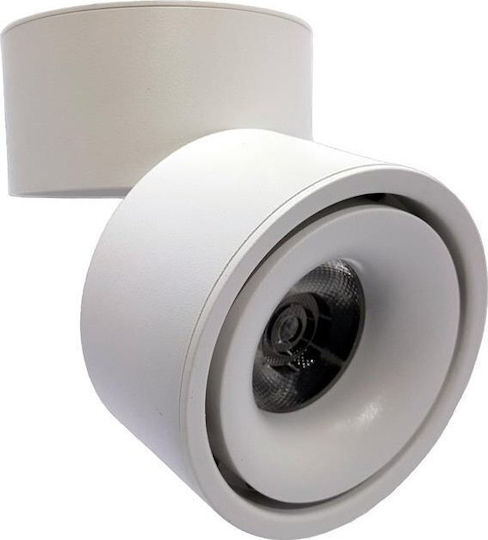 Tope LED Natural White Spot with 10 Lights in White Colour