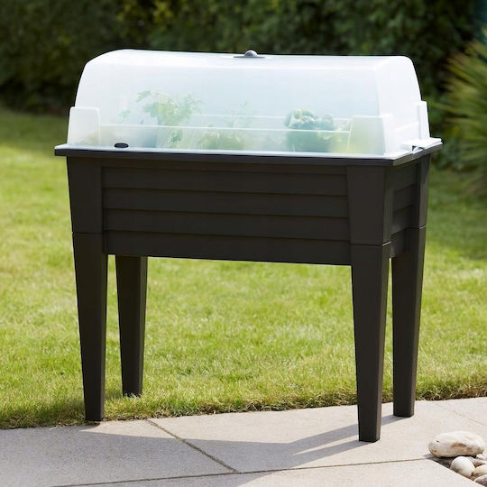 Home&Styling Collection Gewächshaus Typ Haus 78x40x83cm