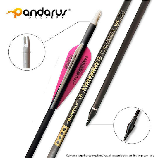 Set 6 Săgeți Arc Compus 6.2 Mm Tub Fibra De Carbon Spine 300 Lungime 32 Inch 27 Gr Săgeată Pandarus
