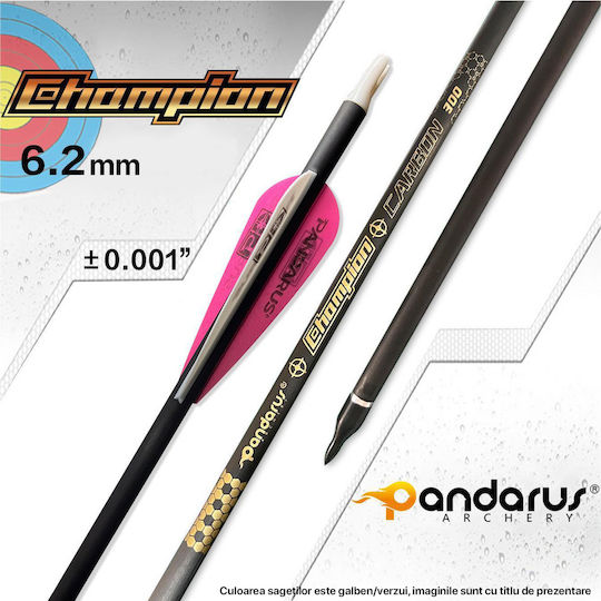 Set 12 Săgeți Arc Compound 6.2 Mm Ax Fibra De Carbon Spine 300 Lungime 32 Inch 27 Gr Săgeată Pandarus